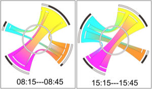 Visualizing Interchange Patter